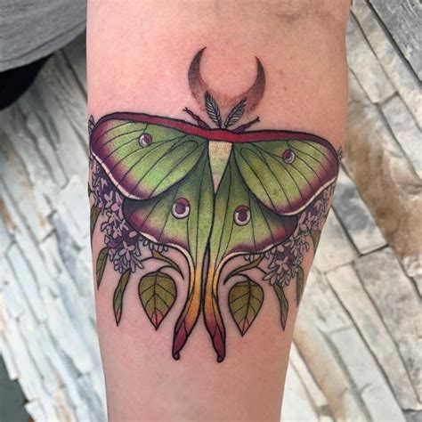 Moth Tattoo Drawings & Inspiration (Stunning Designs!)